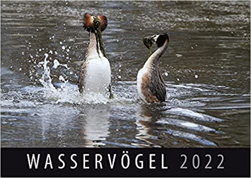 ダウンロード  Wasservoegel 2022: Wandkalender 本