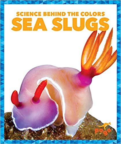 indir Sea Slugs (Science Behind the Colors)