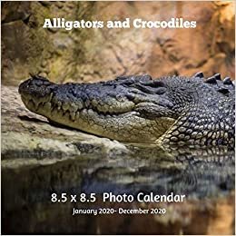 Alligators & Crocodiles 8.5 X 8.5 Photo Calendar January 2020 -December 2020: Monthly Calendar with U.S./UK/ Canadian/Christian/Jewish/Muslim Holidays- Nature Aquatic Reptiles indir