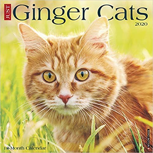 تحميل Just Ginger Cats 2020 Wall Calendar