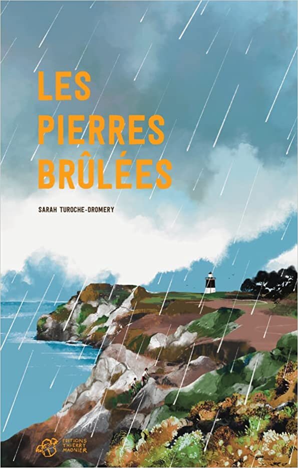 اقرأ Les Pierres brûlées الكتاب الاليكتروني 