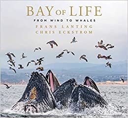 تحميل Bay of Life: From Wind to Whales
