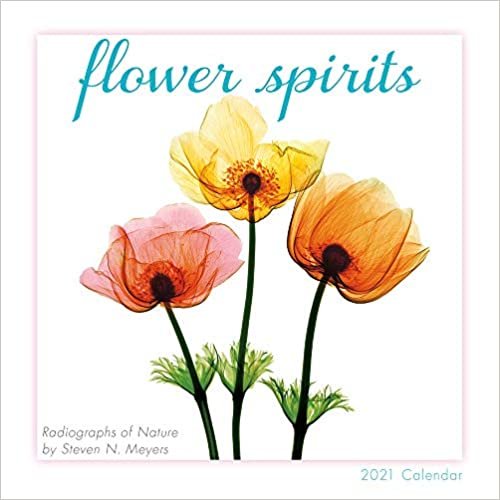 Flower Spirits 2021 Calendar: Radiographs of Nature indir