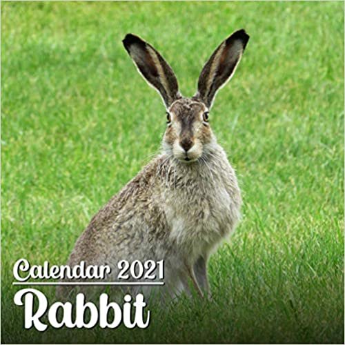indir Calendar 2021 Rabbit: Cute Rabbit Photos Monthly Mini Calendar | Small Size