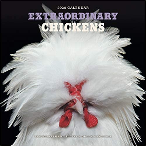 Extraordinary Chickens 2020 Wall Calendar