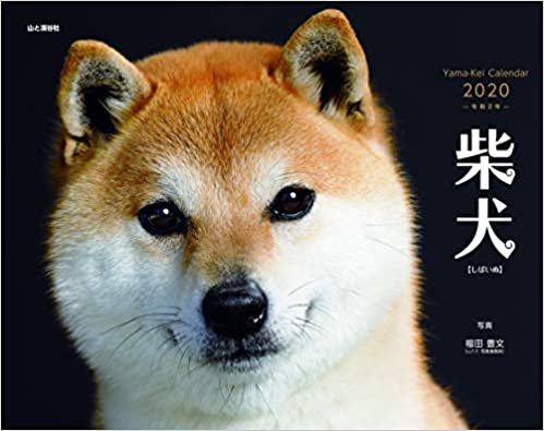 ダウンロード  カレンダー2020 柴犬 (ヤマケイカレンダー2020) 本