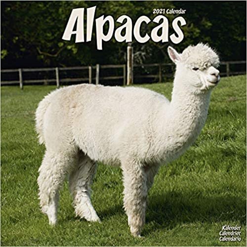 Alpacas - Alpakas 2021: Original Avonside-Kalender [Mehrsprachig] [Kalender] ダウンロード