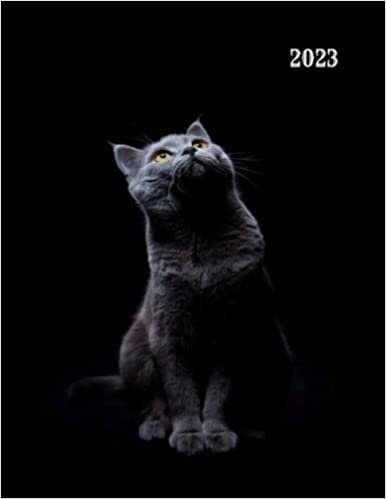 ダウンロード  Planificador diario 2023 a4: Para los amantes de los gatos / Agenda 2023 / planificador español , día por página 12 meses /Calendario semanal / diario regalos / 400 páginas 本