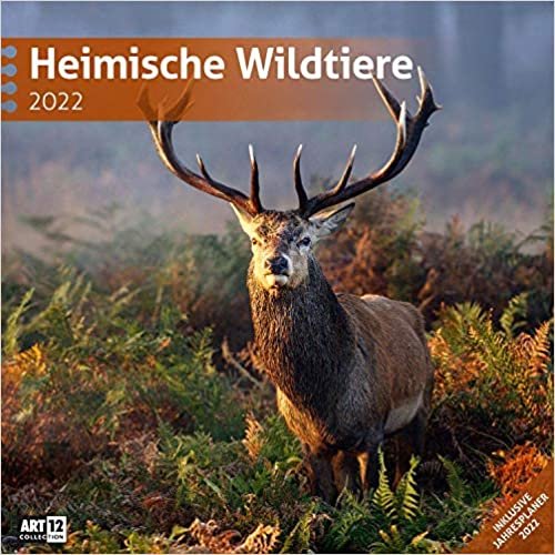 ダウンロード  Heimische Wildtiere 2022 Broschuerenkalender 本