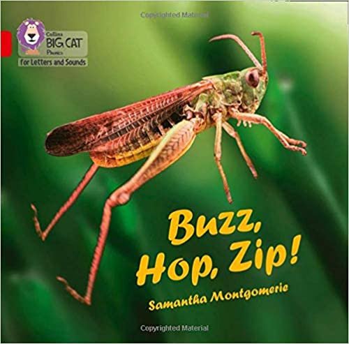 Buzz, Hop, Zip! Big Book: Band 02a/Red a (Collins Big Cat Phonics for Letters and Sounds) indir