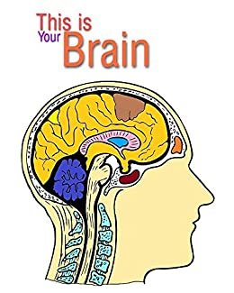 ダウンロード  this is your brain: the anatomy of brain and all things about it for students and another (English Edition) 本