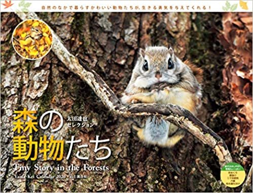カレンダー2020 太田達也セレクション 森の動物たち Tiny Story in the Forests (ヤマケイカレンダー2020)