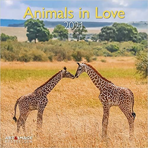 indir Animals in Love 2021 - Wand-Kalender - Broschüren-Kalender - A&amp;I - 30x30 - 30x60 geöffnet