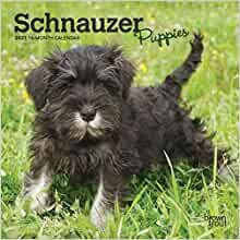 ダウンロード  Schnauzer Puppies 2021 Calendar 本