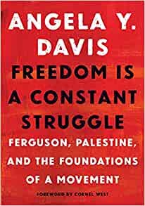 ダウンロード  Freedom Is a Constant Struggle: Ferguson, Palestine, and the Foundations of a Movement 本