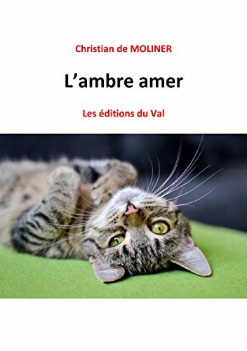 L'ambre amer: Les éditions du Val (French Edition)