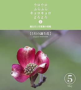 ウロウロ　ふらふら　キョロキョロ　よろよろ　と: 誕生花と花言葉の図鑑5【5月の誕生花】
