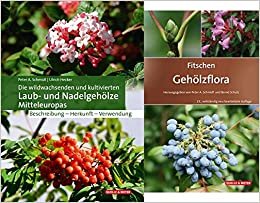 Die wildwachsenden und kultivierten Laub- und Nadelgehölze Mitteleuropas + Fitschen – Gehölzflora 13. Auflage: Set indir