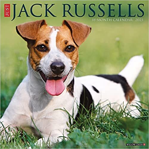 Just Jack Russells 2023 Wall Calendar