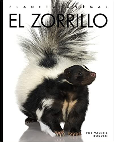 تحميل El Zorrillo