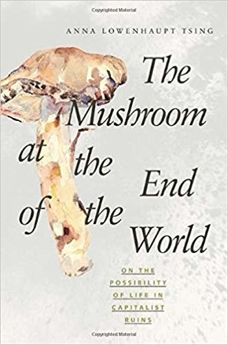 اقرأ The Mushroom at the End of the World: On the Possibility of Life in Capitalist Ruins الكتاب الاليكتروني 