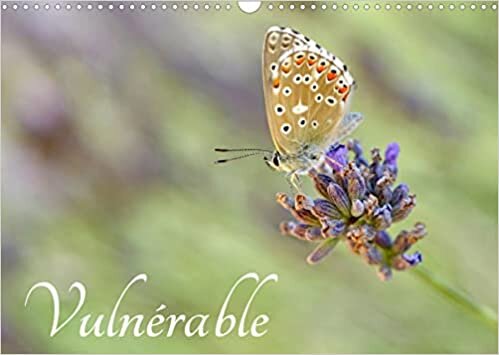 Vulnérable (Calendrier mural 2023 DIN A3 horizontal): Notre nature fragile (Calendrier mensuel, 14 Pages )