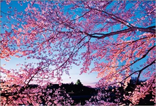 ダウンロード  【Amazon.co.jp 限定】夜桜に包まれる岡山城 ポストカード3枚セット P3-050 本