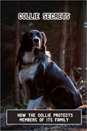 Collie Secrets: How The Collie Protects Members Of Its Family