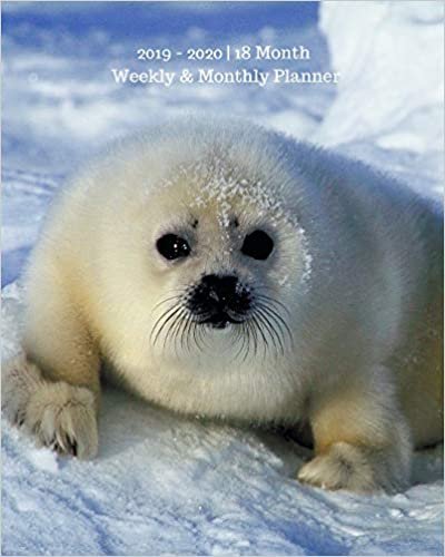 indir 2019 - 2020 | 18 Month Weekly &amp; Monthly Planner: July 2019 to December 2020 | Calendar in Review/Monthly Calendar with U.S./UK/ ... 8 x 10 in.- White Seal Animal Vol 10