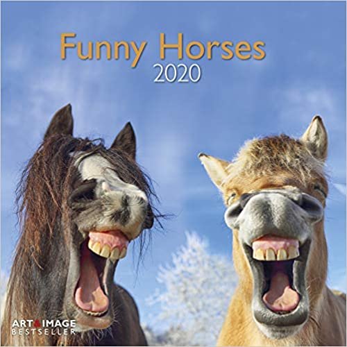 Funny Horses 2020 A&I indir
