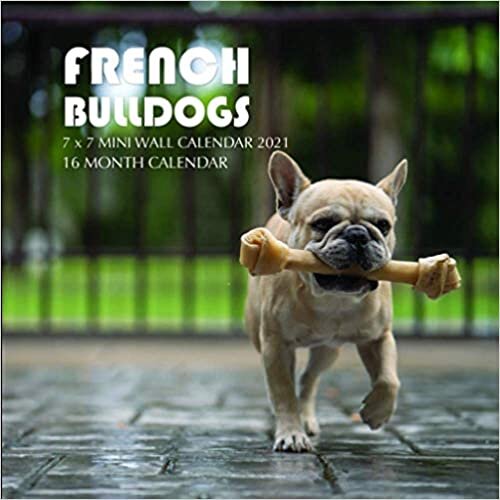 French Bulldogs 7 x 7 Mini Wall Calendar 2021: 16 Month Calendar indir