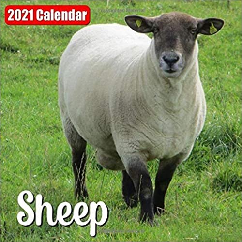 indir Calendar 2021 Sheep: Cute Sheep Photos Monthly Mini Calendar