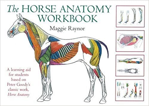 ダウンロード  THe Horse Anatomy Workbook: A Learning Aid for Students Based on Peter Goody's Classic Work, Horse Anatomy (Allen Student) 本