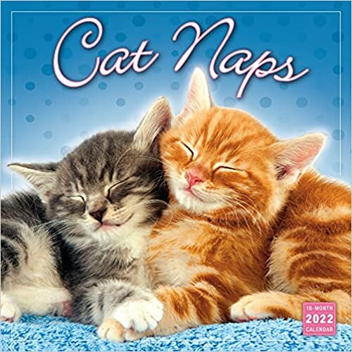 ダウンロード  Cat Naps 2022 16-Month Calendar 本