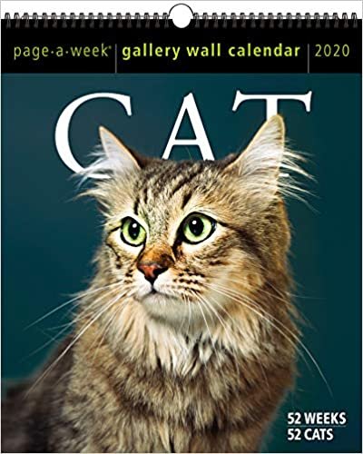 ダウンロード  Cat Page-a-Week Gallery 2020 Calendar 本