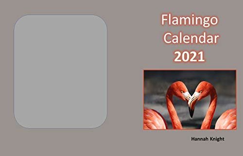Flamingo Calendar 2021 (English Edition)