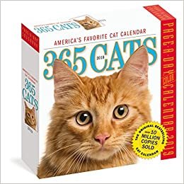 365 Cats 2019 Calendar