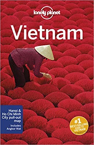 اقرأ لونيلي بلانت فيتنام (دليل السفر) الكتاب الاليكتروني 