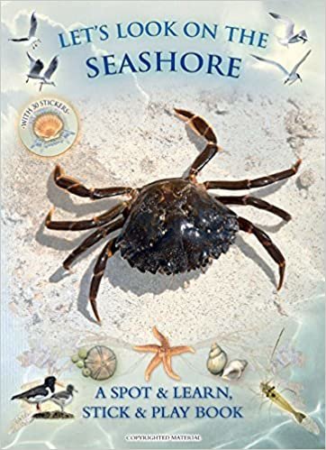 Lets Look On the Seashore: A Natural History Activity Book indir