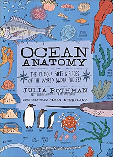 ダウンロード  Ocean Anatomy: The Curious Parts & Pieces of the World Under the Sea 本