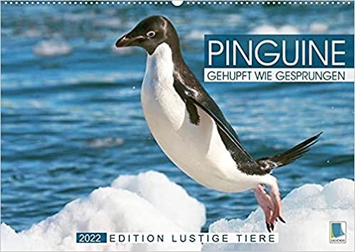Pinguine: Gehupft wie gesprungen - Edition lustige Tiere (Wandkalender 2022 DIN A2 quer): Pinguine: laden zum Schmunzeln und Lachen ein (Monatskalender, 14 Seiten )