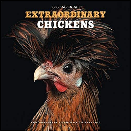 ダウンロード  Extraordinary Chickens 2022 Wall Calendar 本