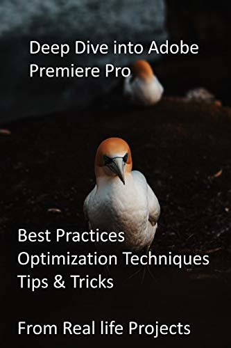 Deep Dive into Adobe Premiere Pro: Best Practices, Optimization Techniques, Tips & Tricks from Real life Projects (English Edition)