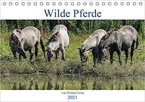 indir Wilde Pferde von Michael Jaster (Tischkalender 2021 DIN A5 quer): Wilde Pferde von Michael Jaster sind frei und ungezähmt. (Monatskalender, 14 Seiten )