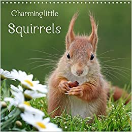 Charming little squirrels (Wall Calendar 2021 300 × 300 mm Square): Wonderful close-ups of 12 lovely individuals (Monthly calendar, 14 pages ) ダウンロード
