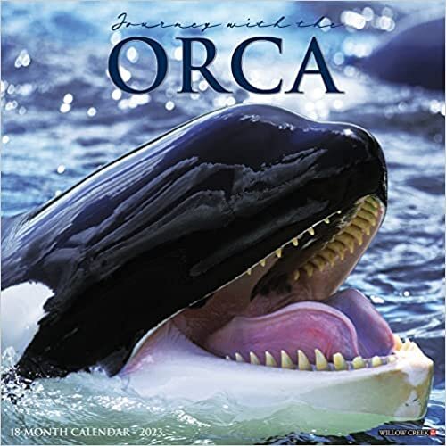 Orca (Journey with The) 2023 Wall Calendar