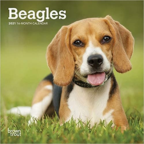 ダウンロード  Beagles 2021 Calendar 本
