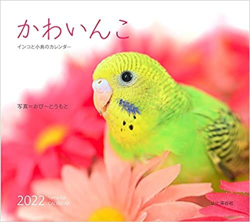 ダウンロード  カレンダー2022 かわいんこ インコと小鳥のカレンダー (月めくり・壁掛け) (ヤマケイカレンダー2022) 本