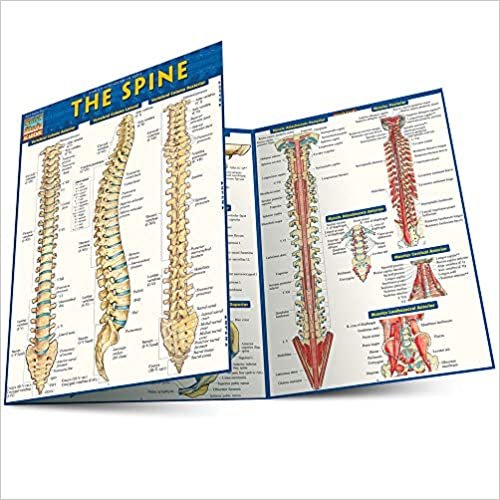 ダウンロード  The Spine (Quick Study Academic) 本