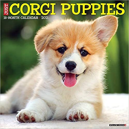 Just Corgi Puppies 2021 Calendar indir